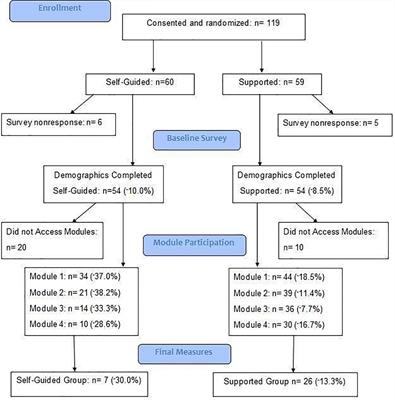 Online Mindfulness Intervention for Inflammatory Bowel Disease: Adherence and Efficacy